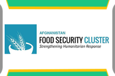 Food Security Cluster