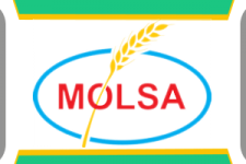 MolSa